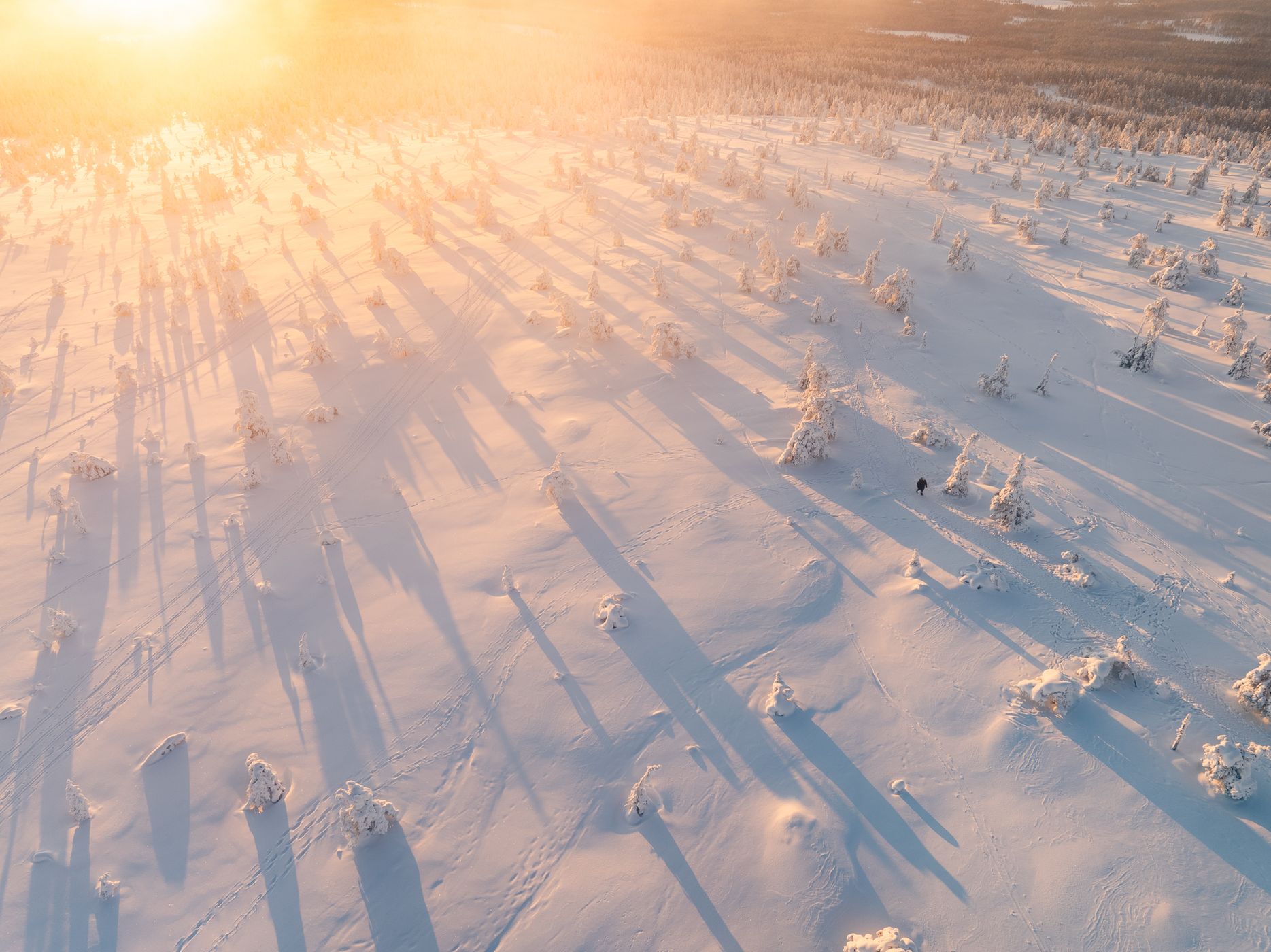 Riisitunturi, Finland