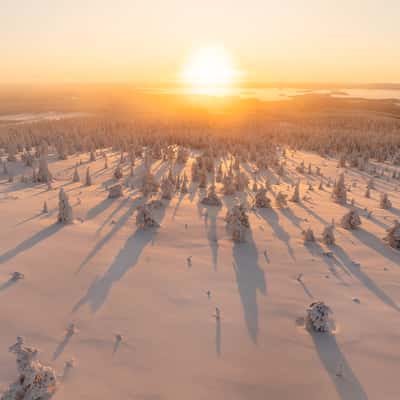 Riisitunturi, Finland