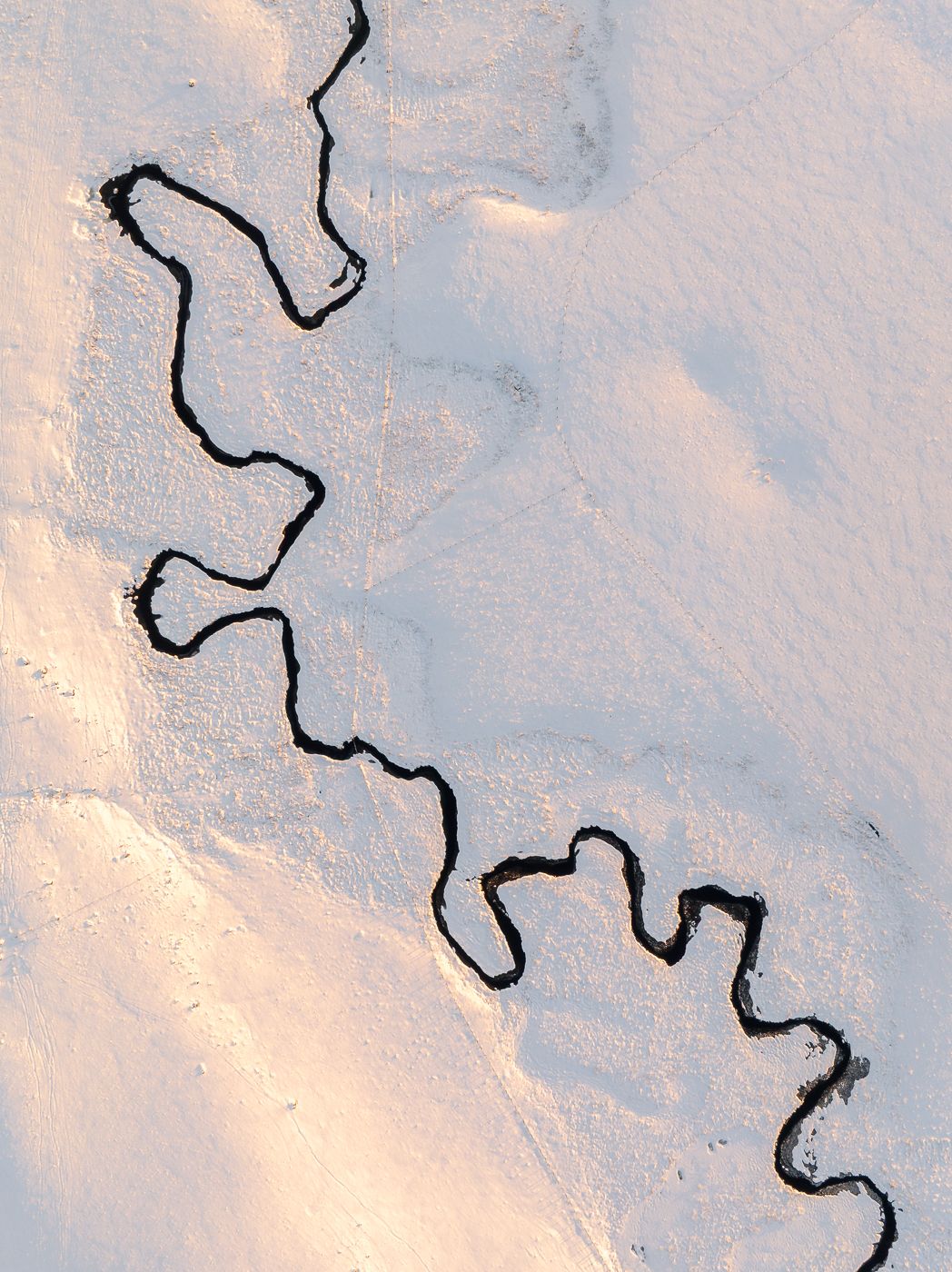 River streams of the Aubrac plateau, France