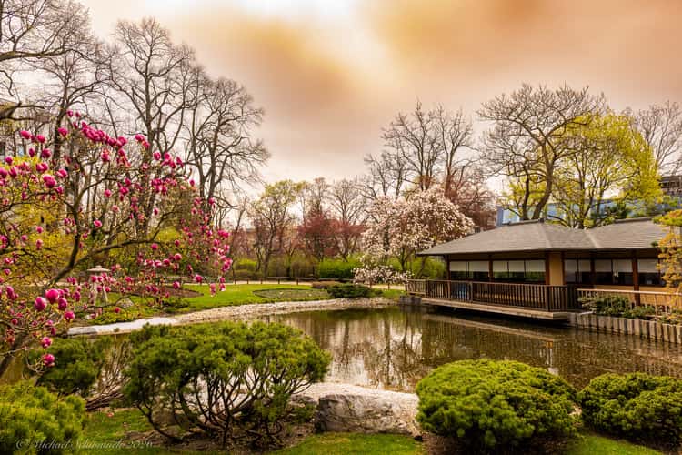 Setagayapark, Wien