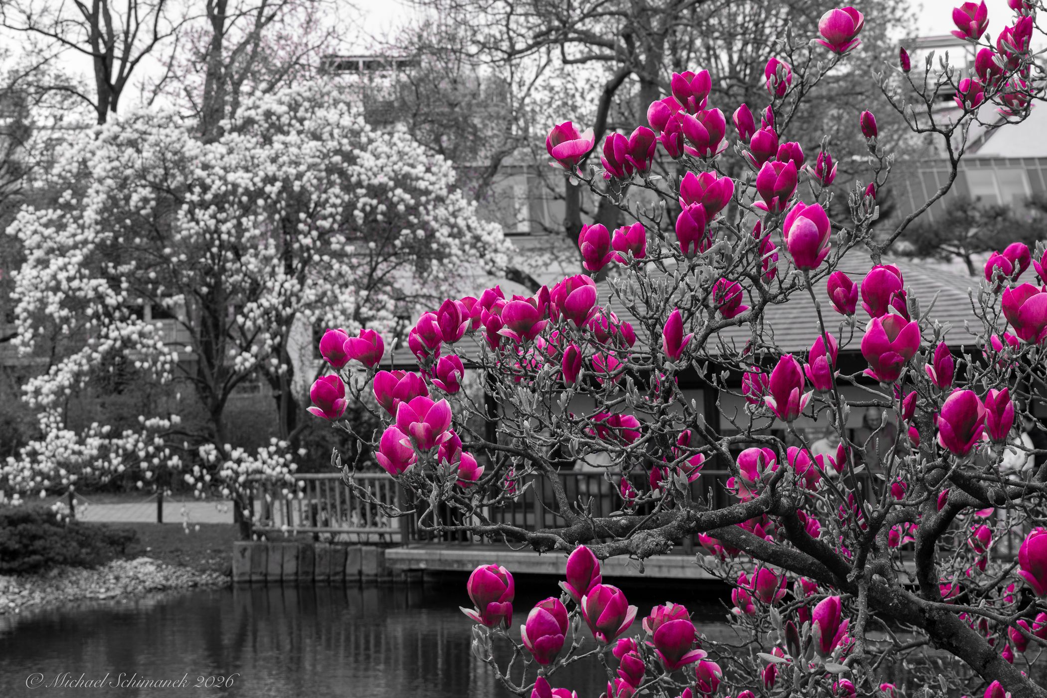 Setagayapark, Wien, Austria