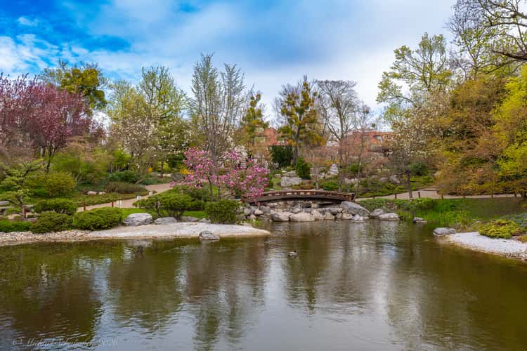 Setagayapark, Wien
