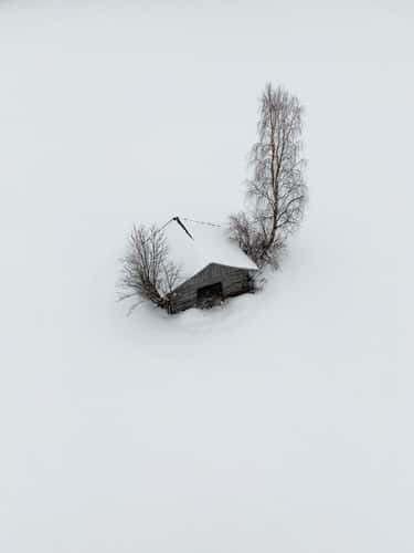 Small Cabin