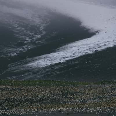 St. Andrew´s Bay from the boat, South Georgia, South Georgia and the South Sandwich Islands