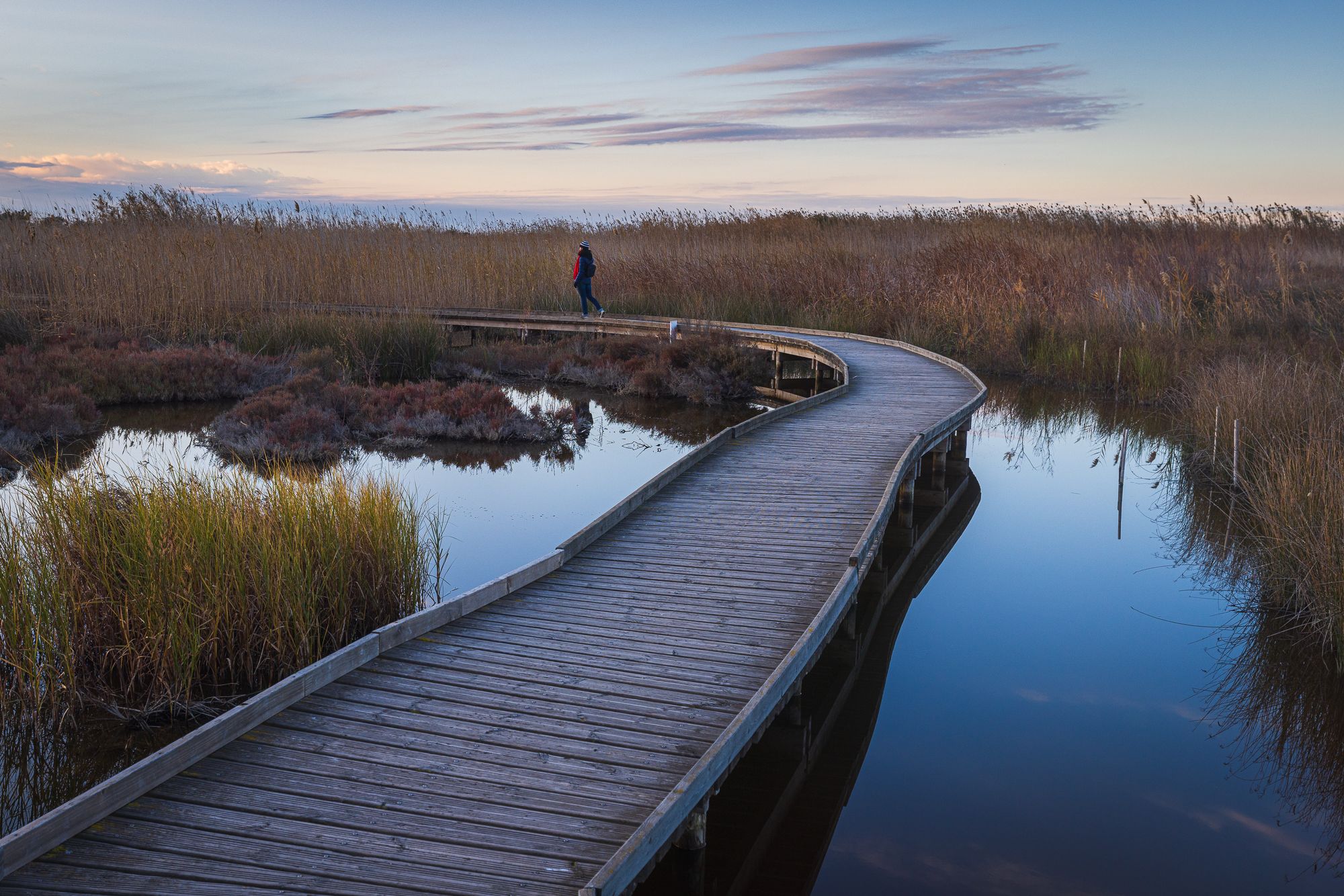 Swamp Marjal dels Moros, Spain