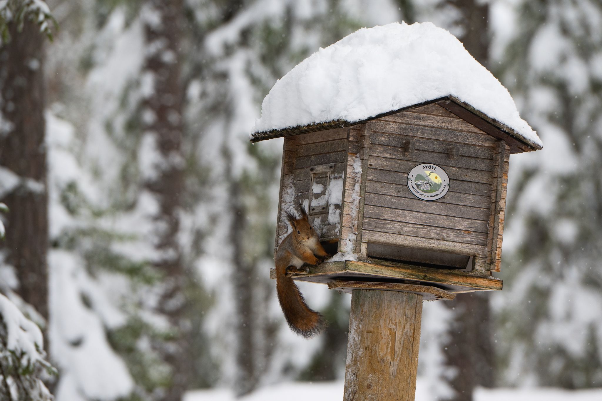 Syote National Park, Finland