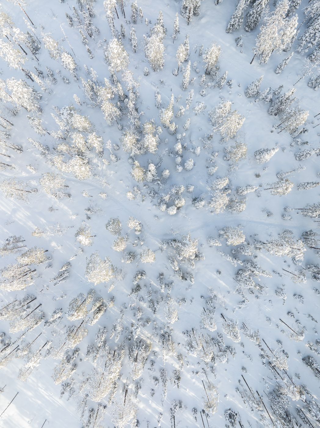 Syote NP, Finland