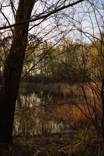 Teich am Lurchgraben