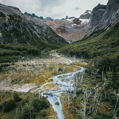 The dead trees near Laguna Esmeralda, Tierra del Fuego, Argentina