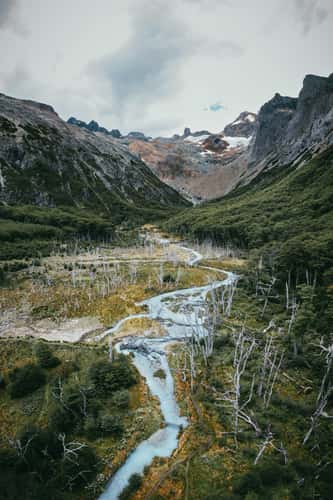 The dead trees near Laguna Esmeralda, Tierra del Fuego