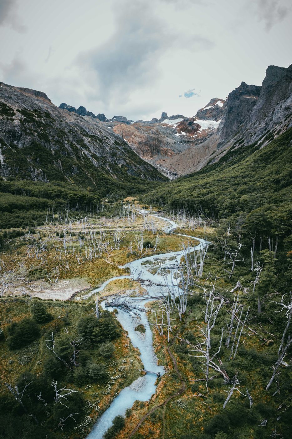 The dead trees near Laguna Esmeralda, Tierra del Fuego, Argentina