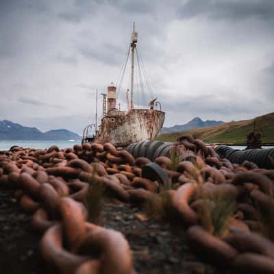 The Petrel Shipwreck Grytviken (Chains), South Georgia and the South Sandwich Islands
