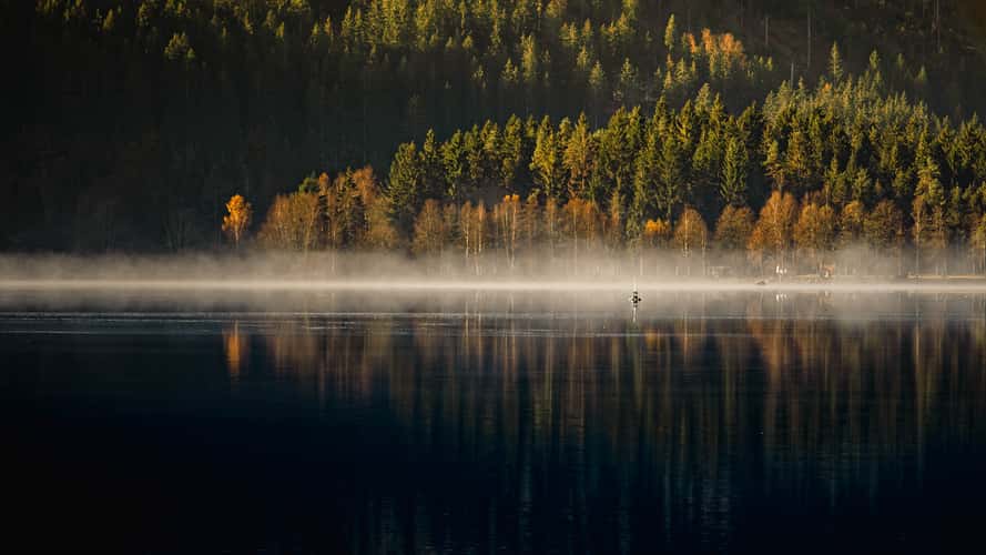 Titisee