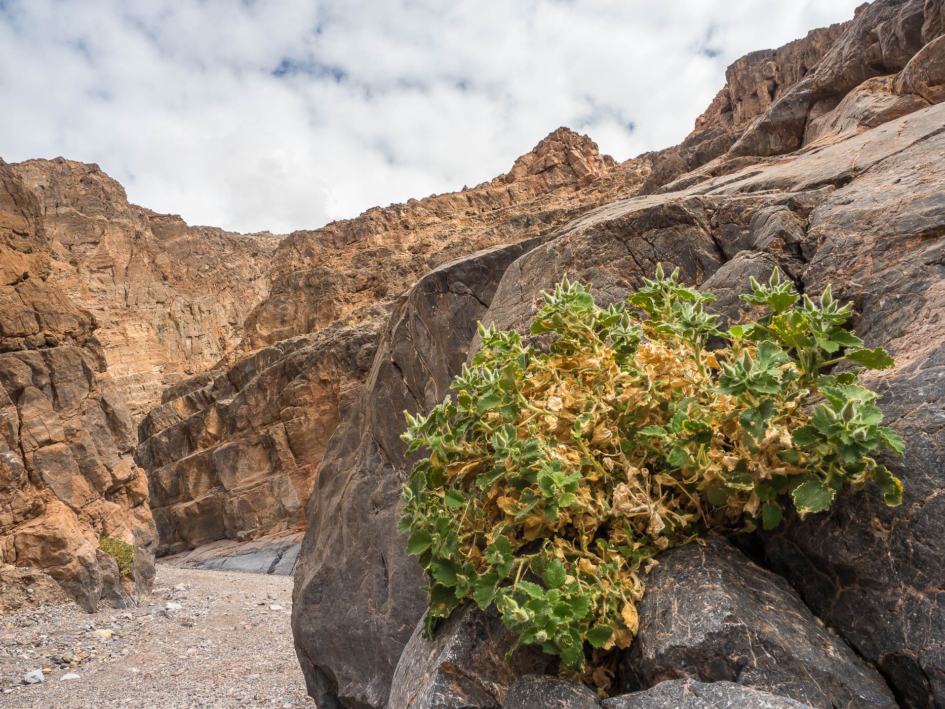 Titus Canyon, USA
