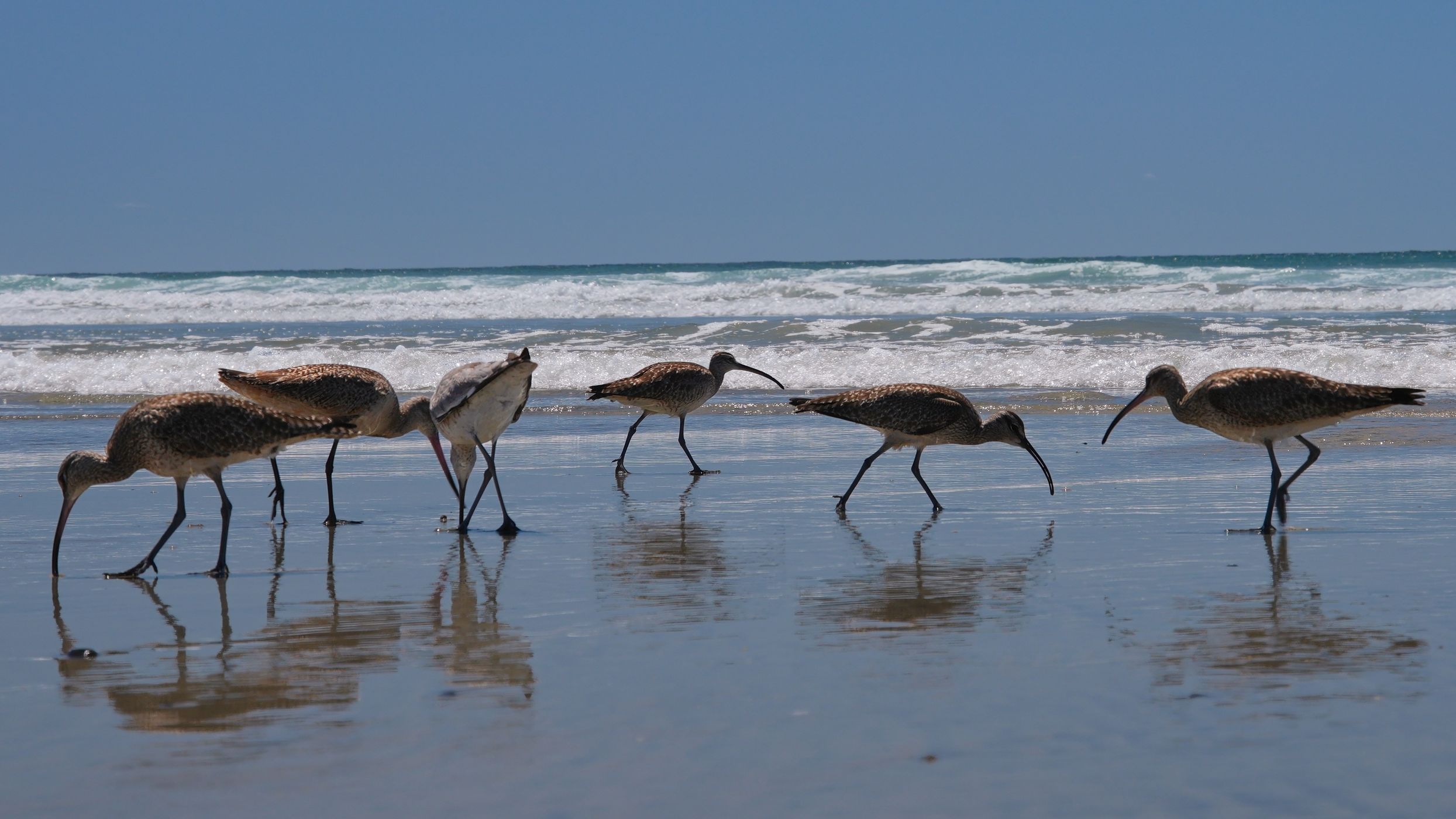 Torrey Pines Beach, USA