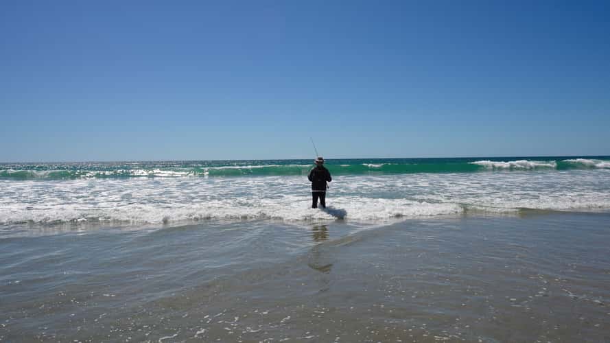 Torrey Pines Beach