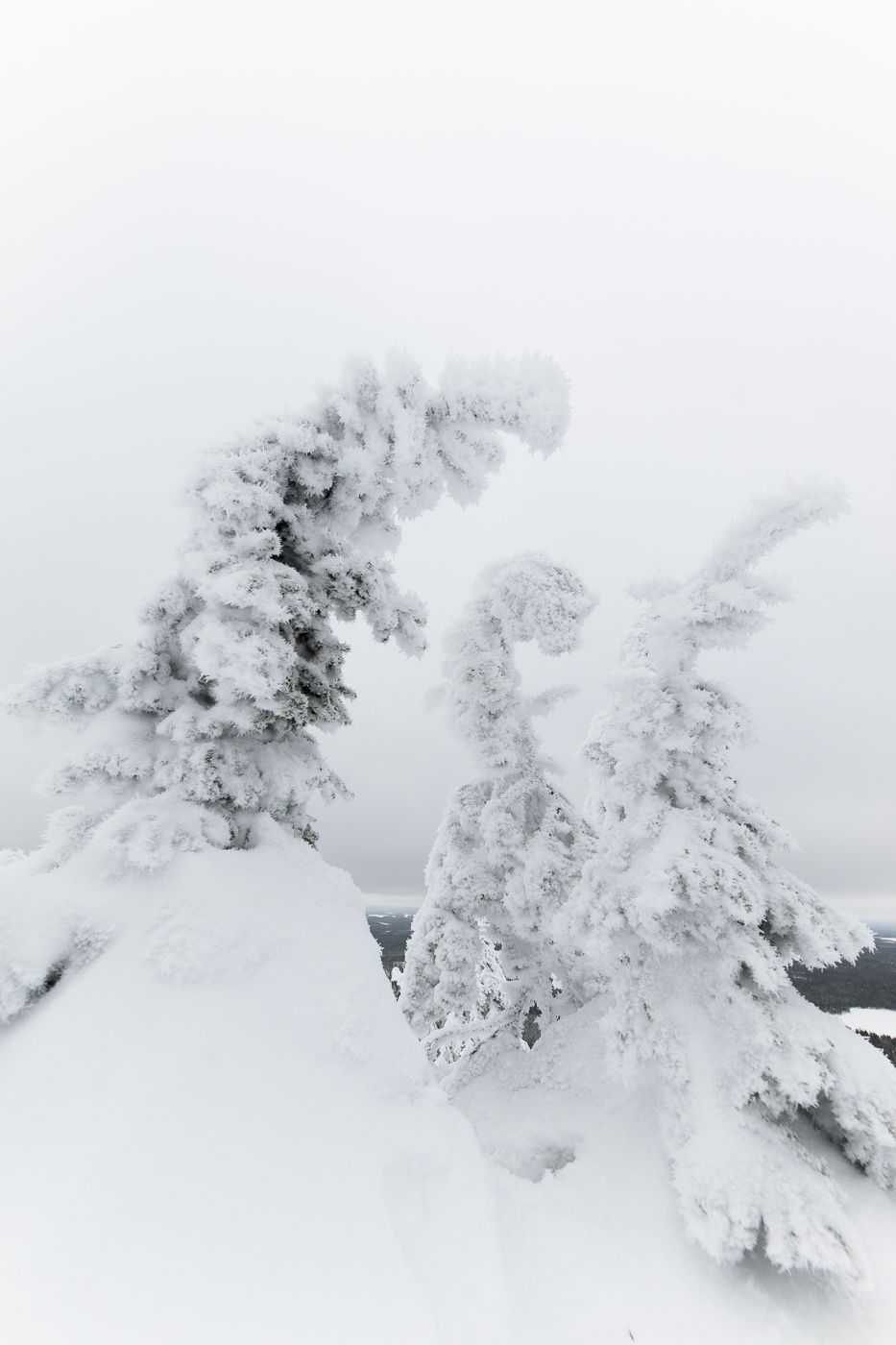 Valtavaraa, Finland