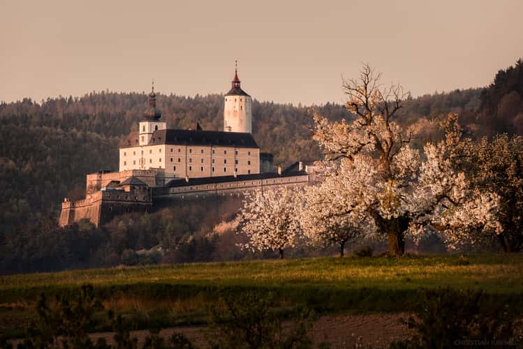 View of Forchtenstein Castle