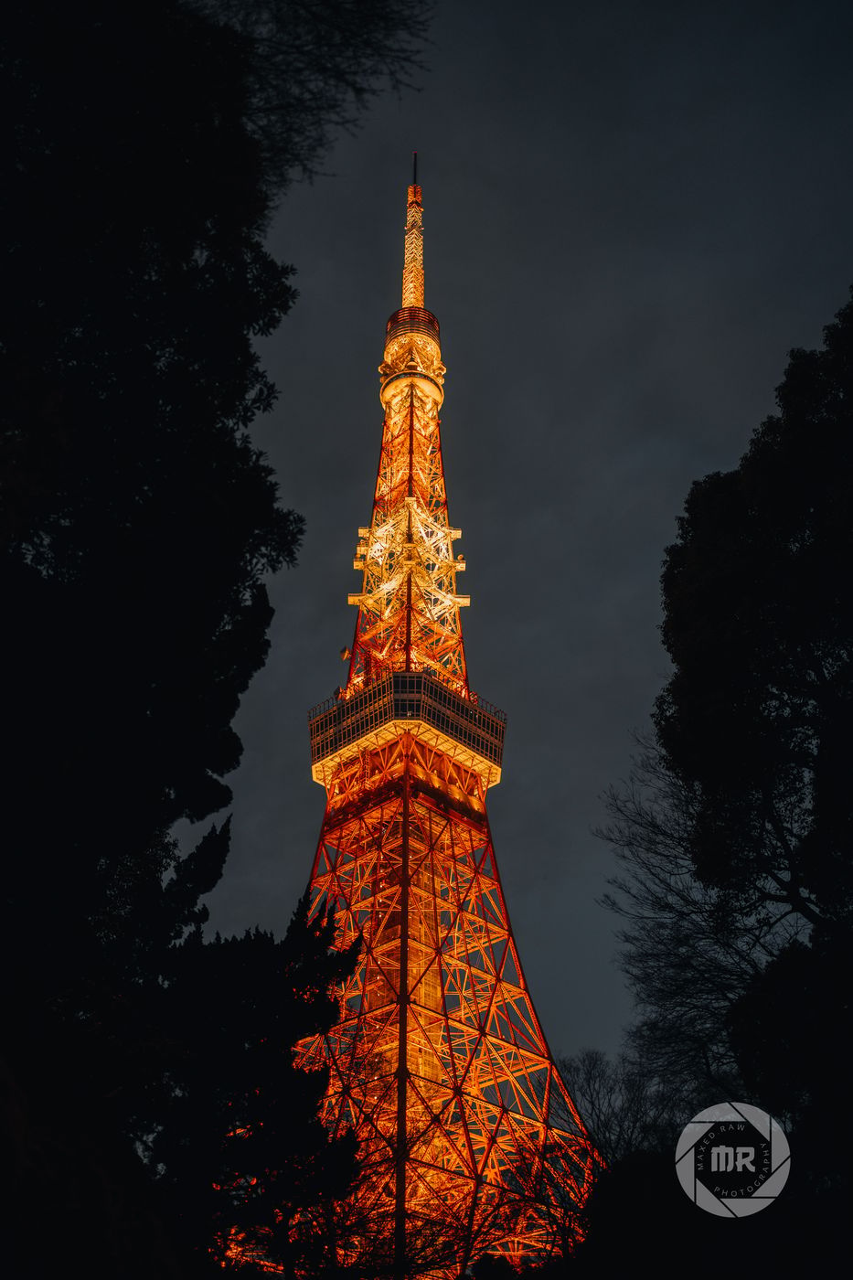 View of Tokyo Tower from Roppongi Tower, Japan