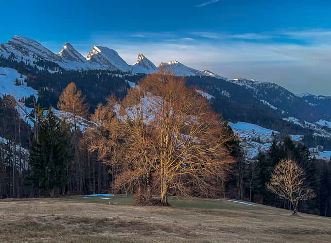 View on Churfirsten