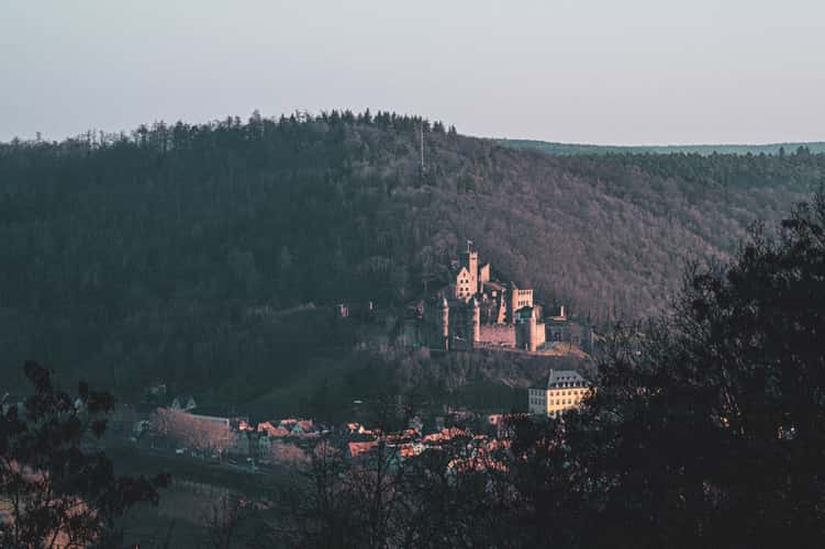 Wertheim - Aussichtspunkt im Wald