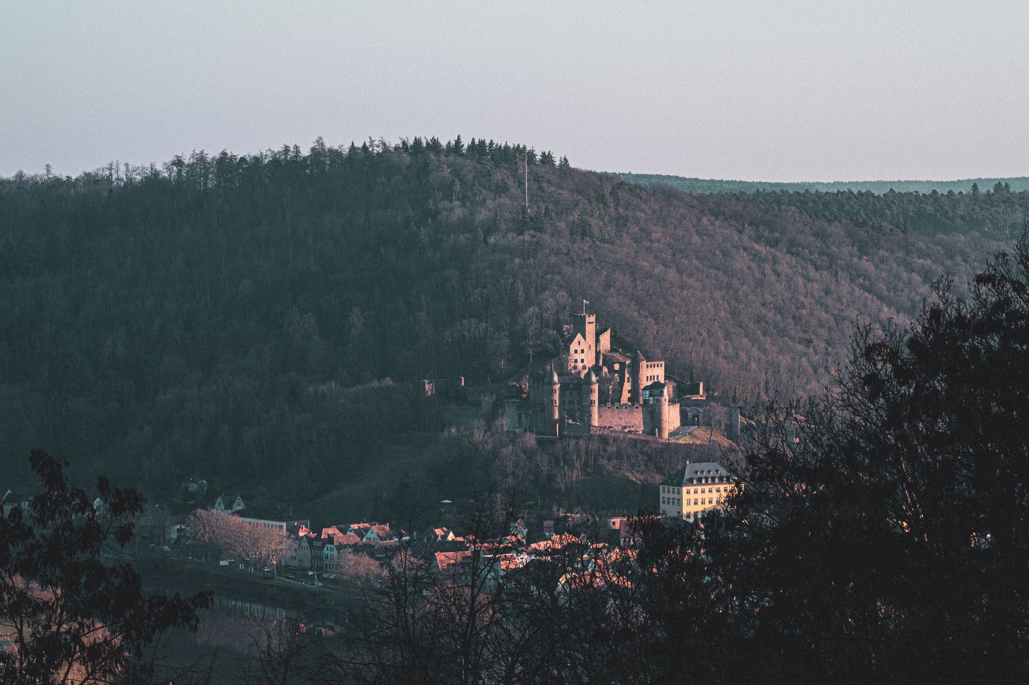 Wertheim - Aussichtspunkt im Wald, Germany