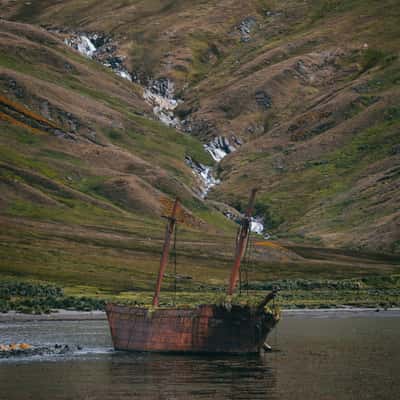 Wreck of the Bayard, South Georgia, South Georgia and the South Sandwich Islands