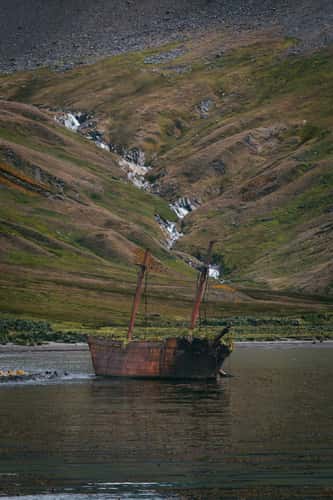 Wreck of the Bayard, South Georgia