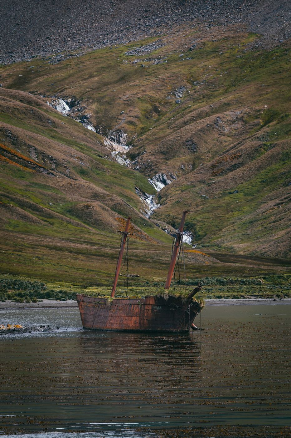Wreck of the Bayard, South Georgia, South Georgia and the South Sandwich Islands