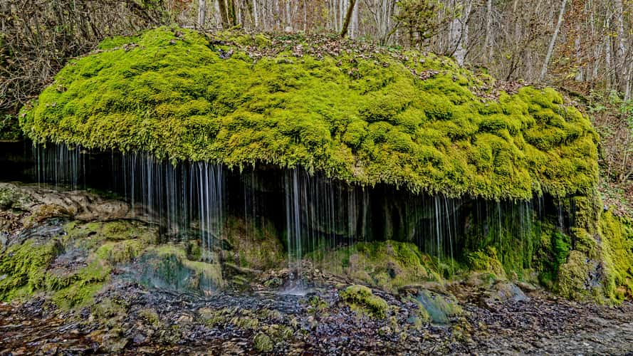 Wuttachschlucht, Black Forest