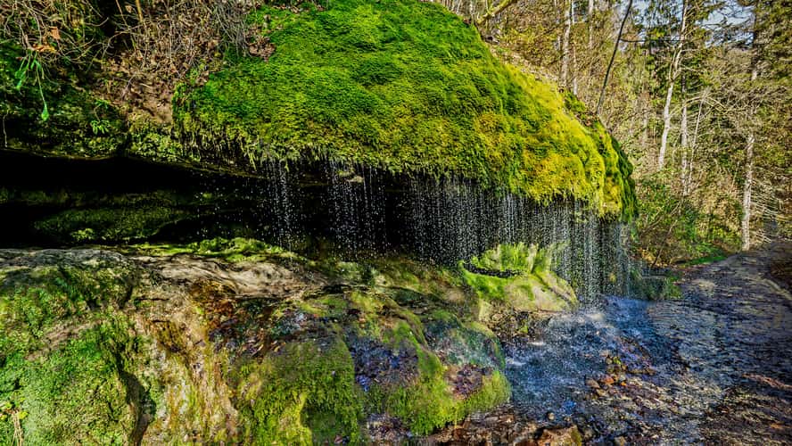 Wuttachschlucht, Black Forest