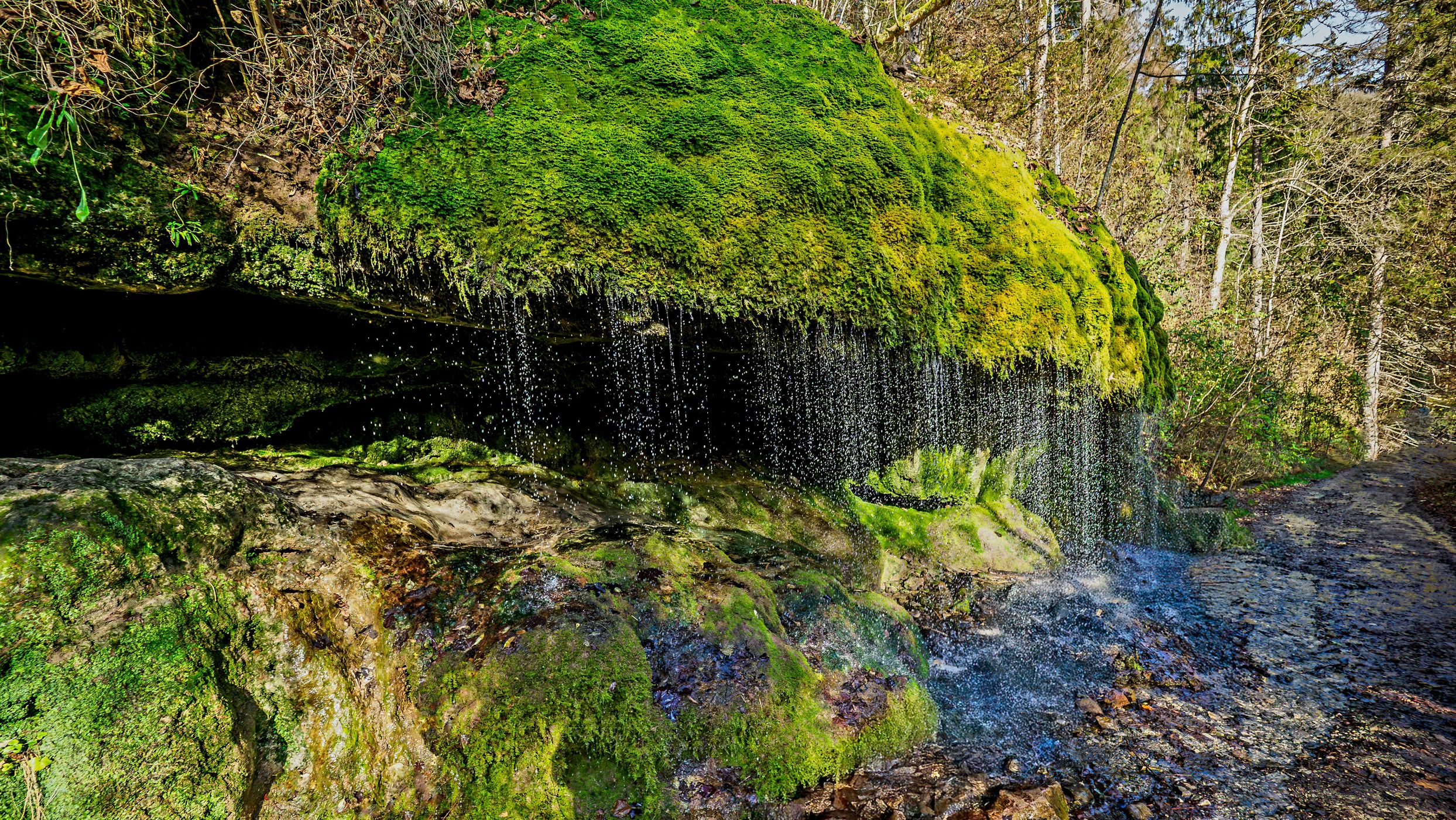 Wuttachschlucht, Black Forest, Germany