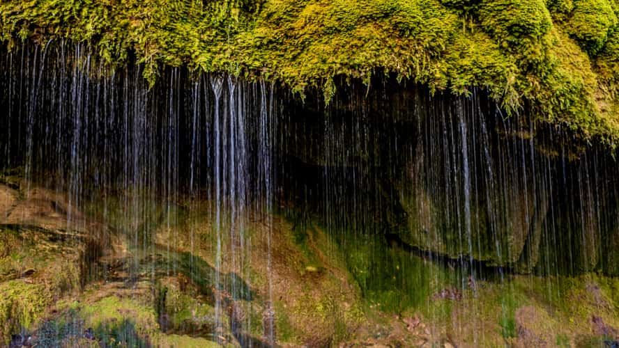 Wuttachschlucht, Black Forest
