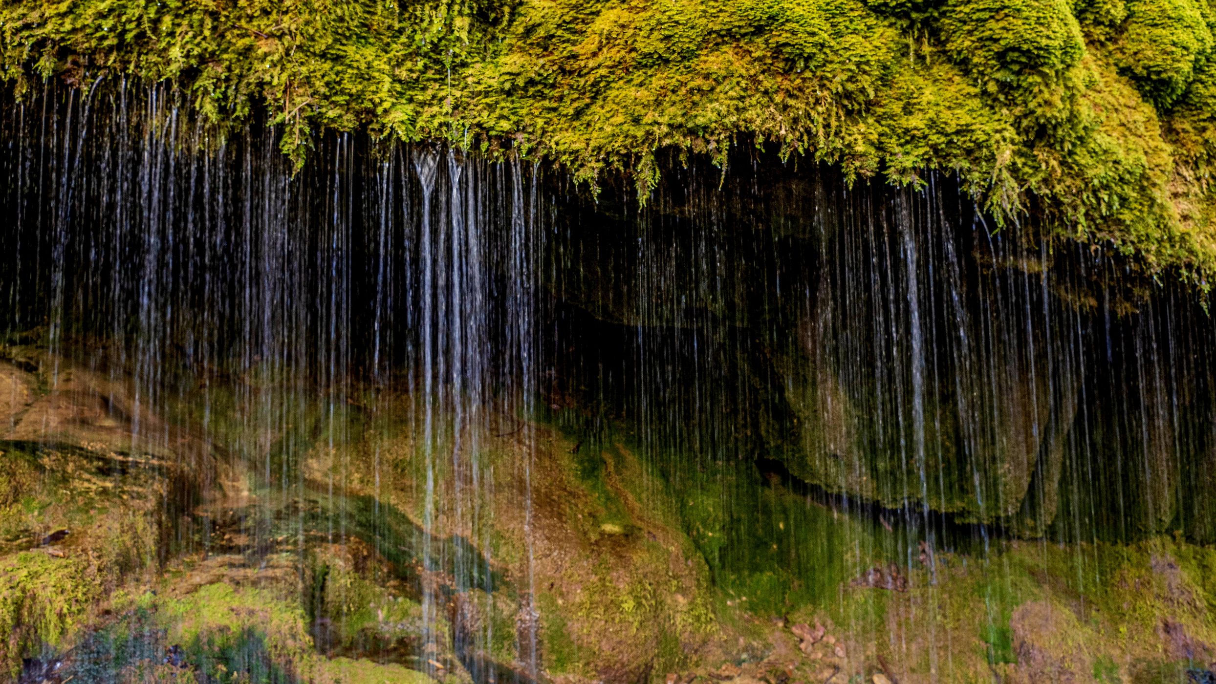 Wuttachschlucht, Black Forest, Germany