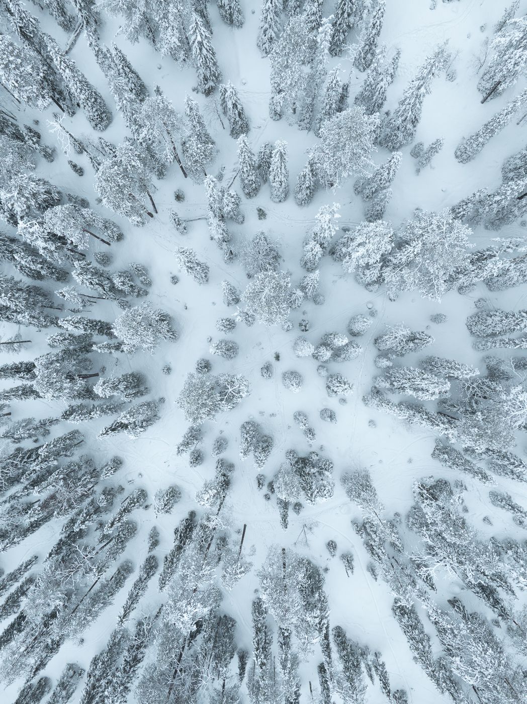 Yii-Pessari Lake, Finland