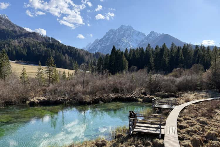 Zelenci