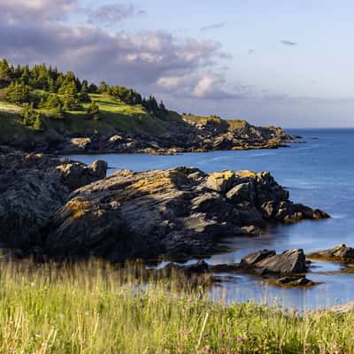 Adams Cove view, Canada