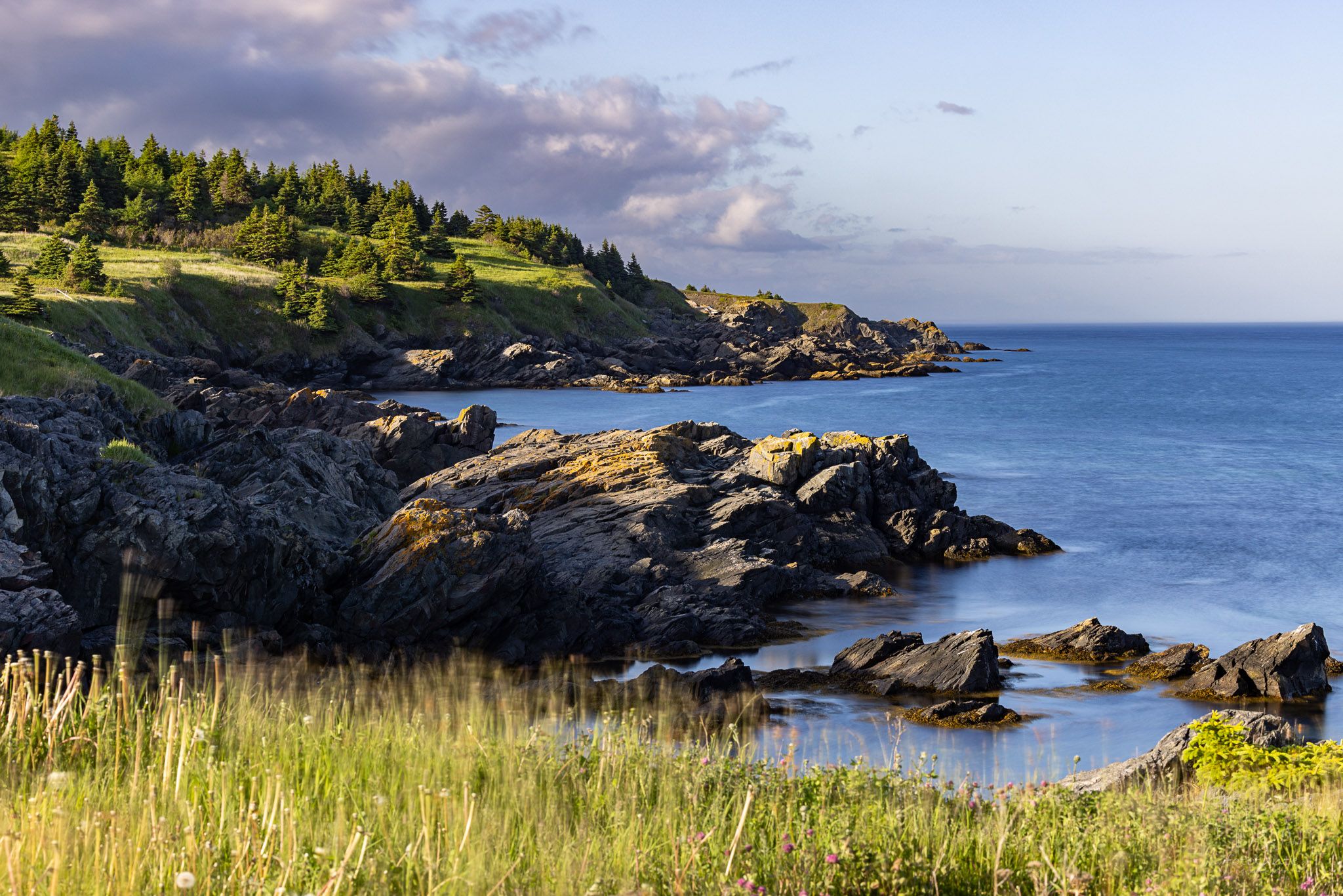 Adams Cove view, Canada