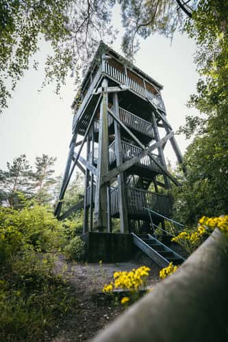 Aussichtsturm, Buchholzer Forst in Münsterland
