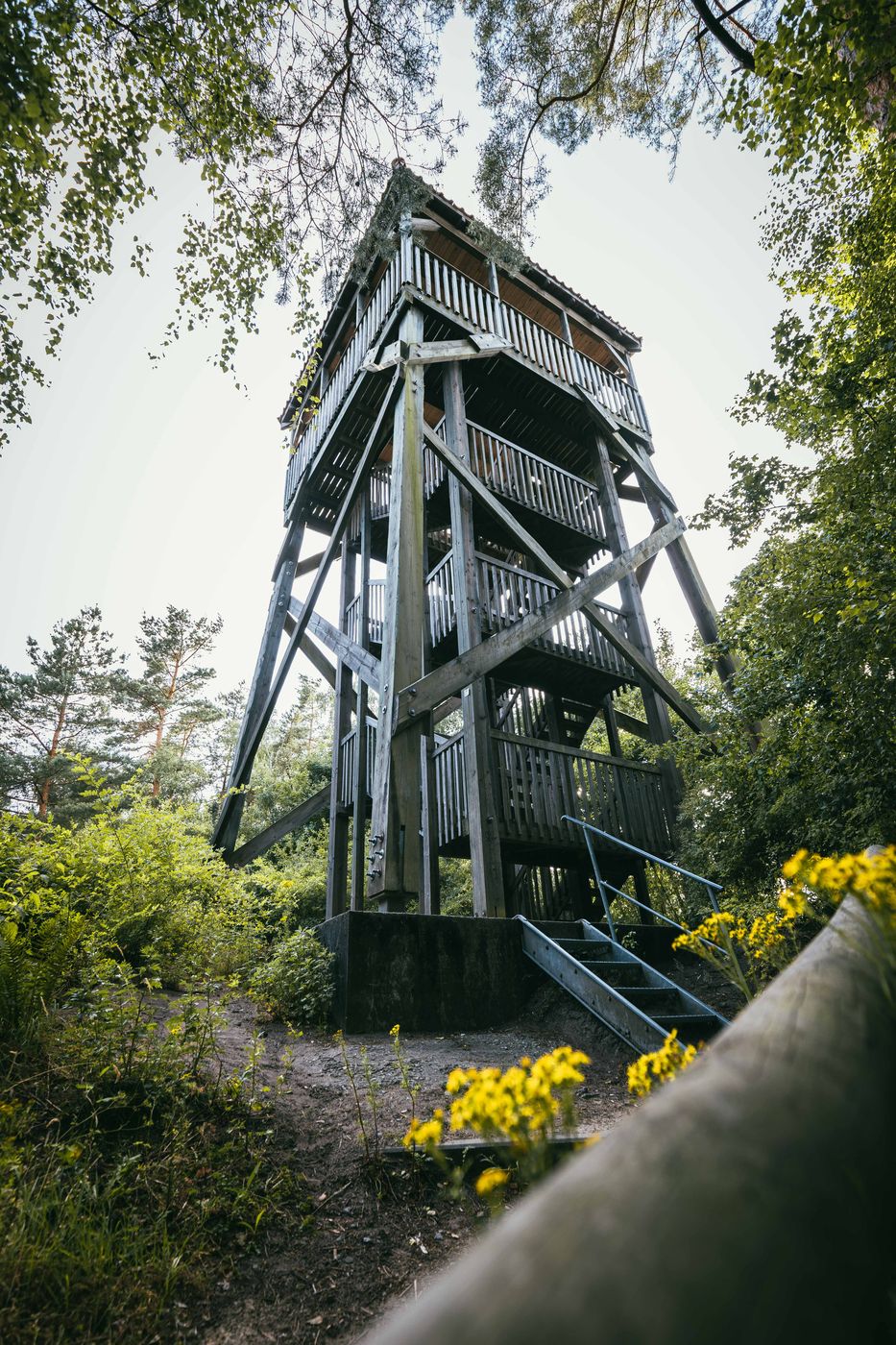Aussichtsturm, Buchholzer Forst in Münsterland, Germany