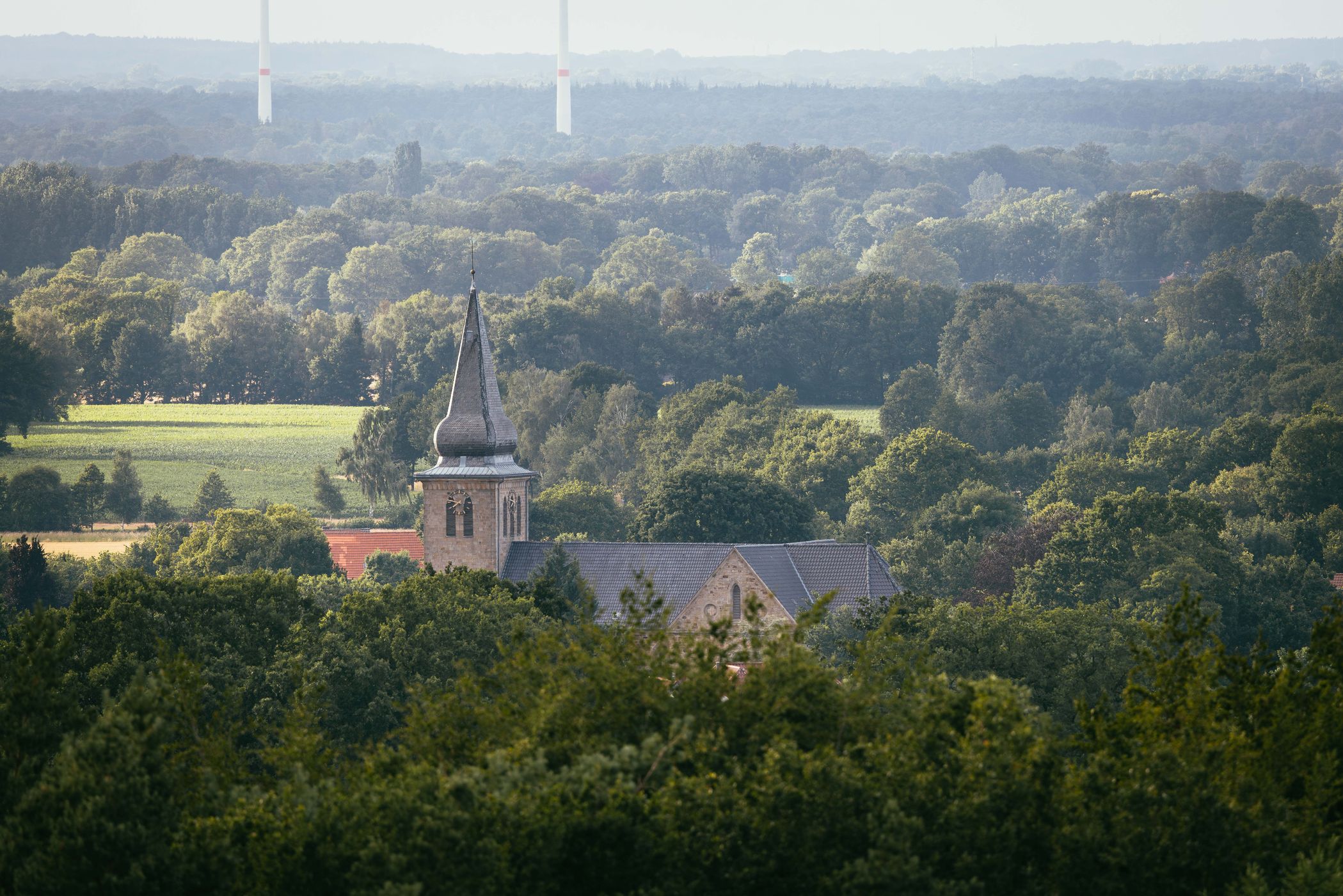 Aussichtsturm, Buchholzer Forst in Münsterland, Germany