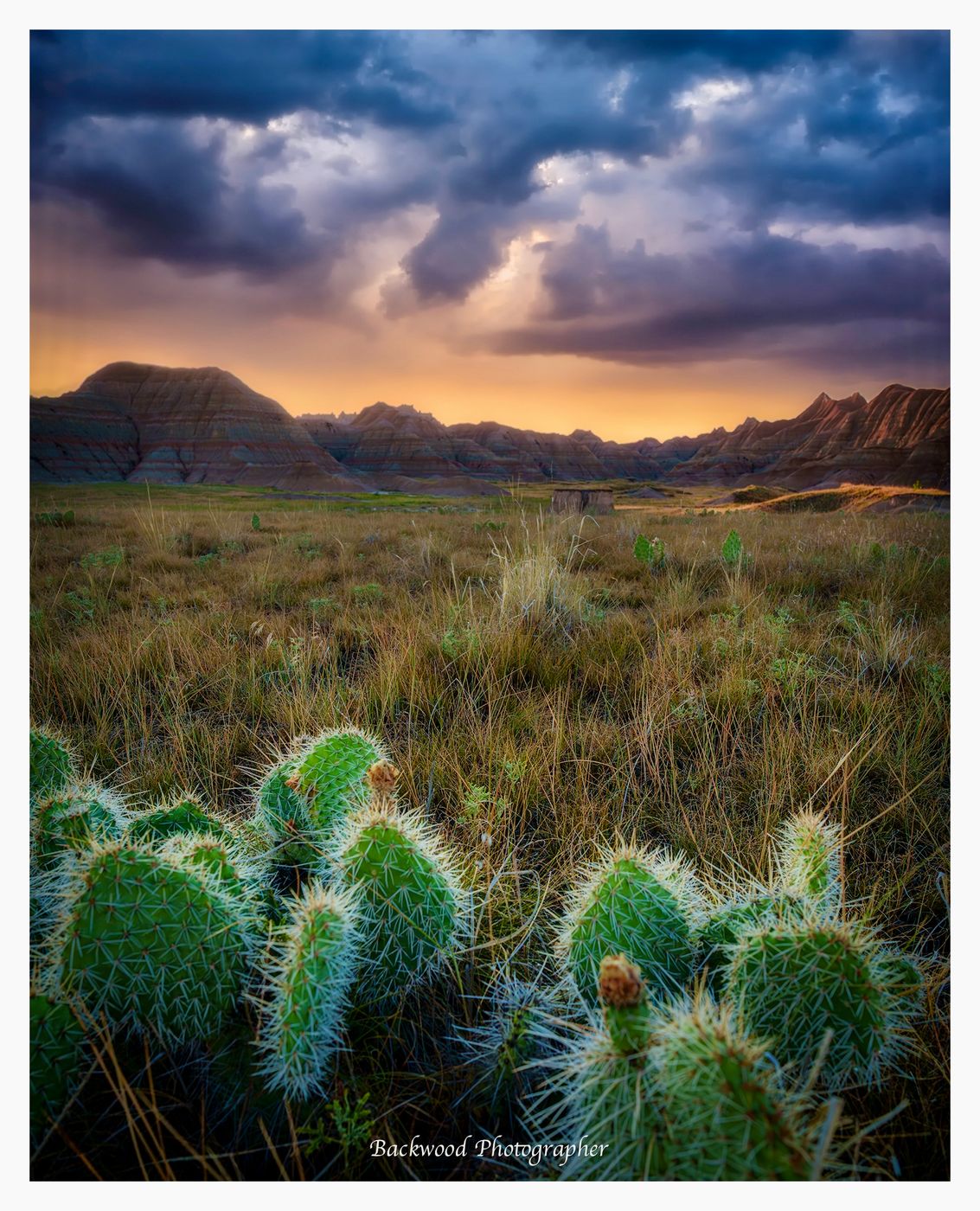 Badlands Loop Road, USA