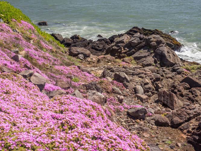 Battery Point