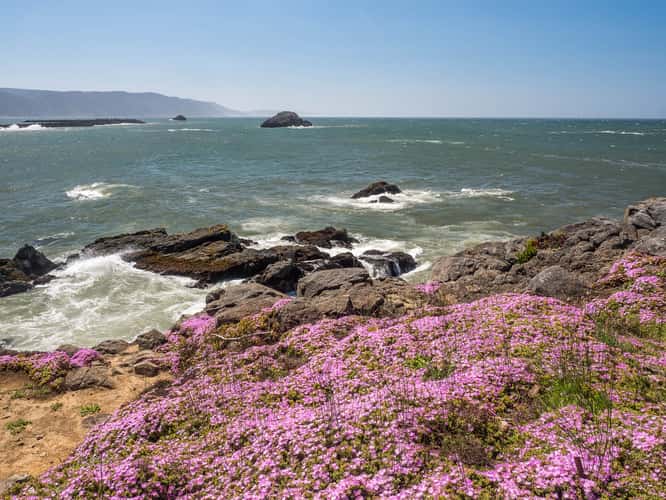 Battery Point