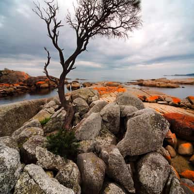 Binalong Bay, Australia