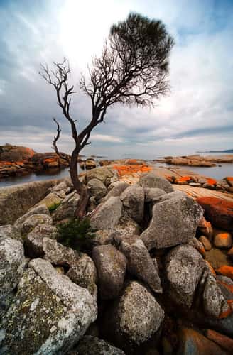 Binalong Bay