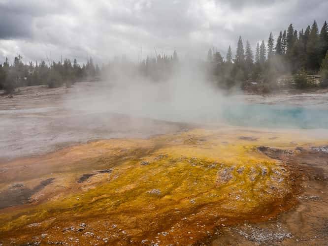 Black Pool View
