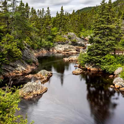 Cape Broyle view, Canada
