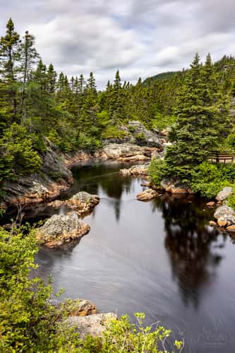 Cape Broyle view