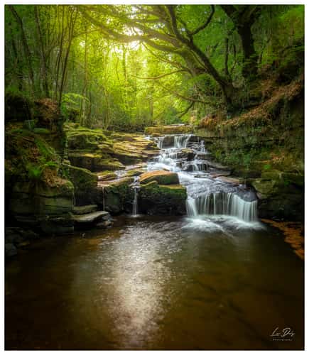 Cathole Falls